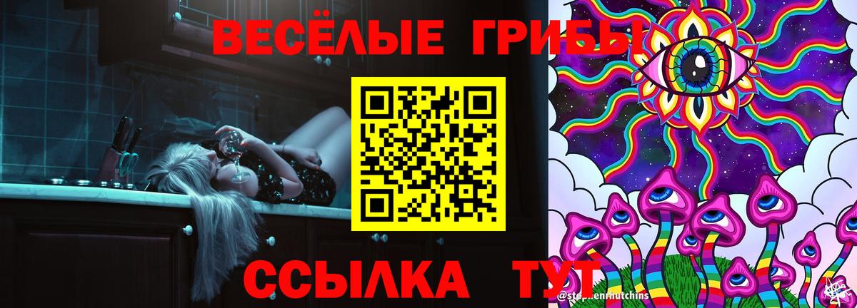 Алексеевка  Псилоцибиновые грибы Psilocybine cubensis  где купить наркотик  Вход с VPN 